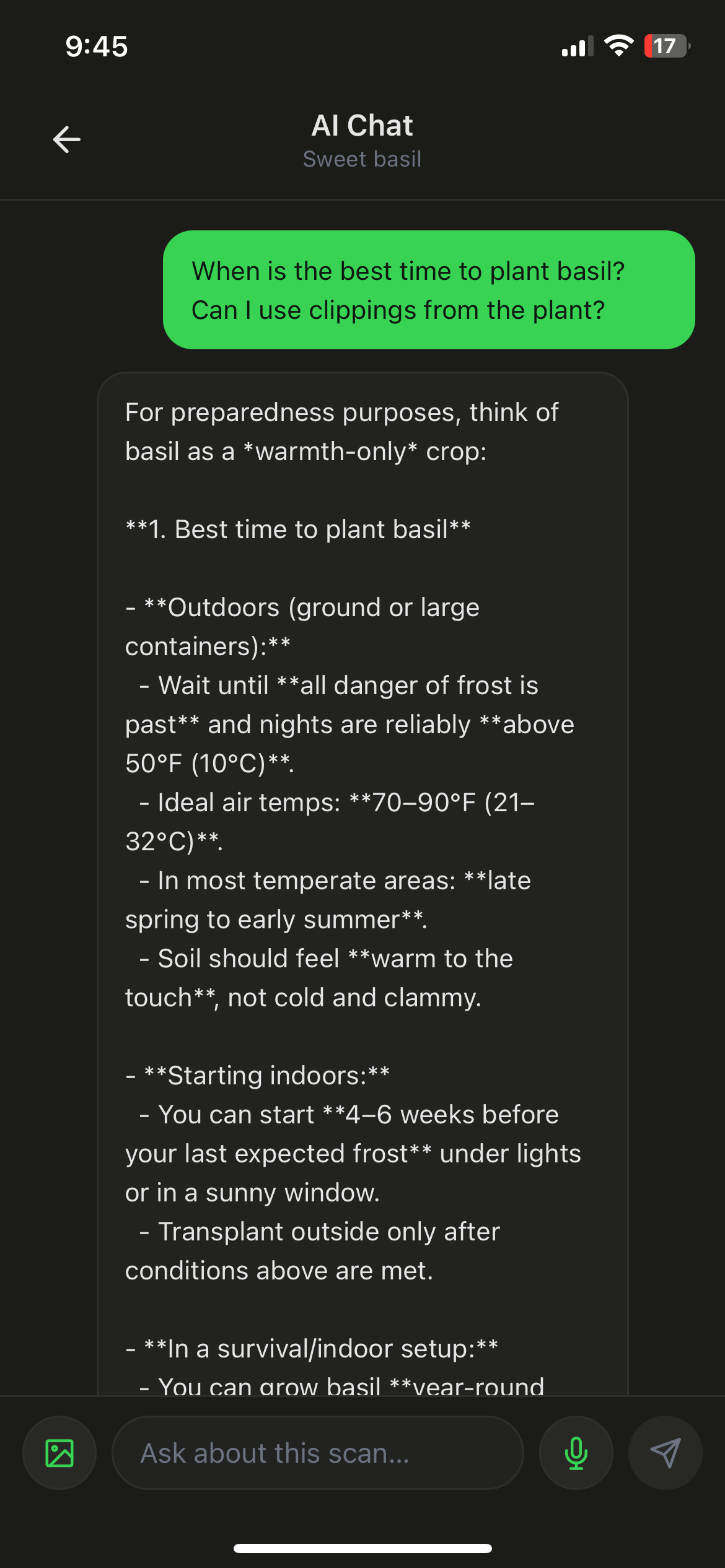 AI chat about basil